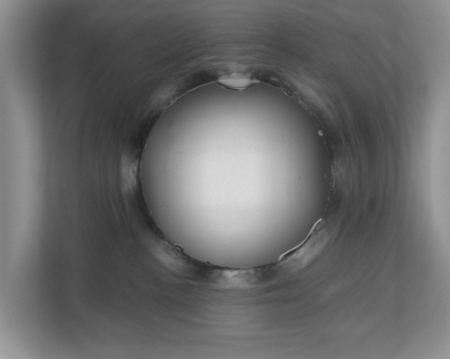 X0000111030188200907021545