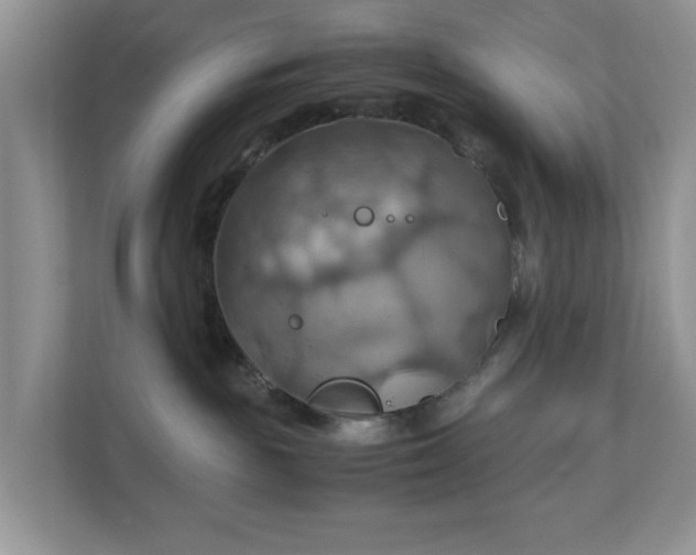 X0000111030189200907021545