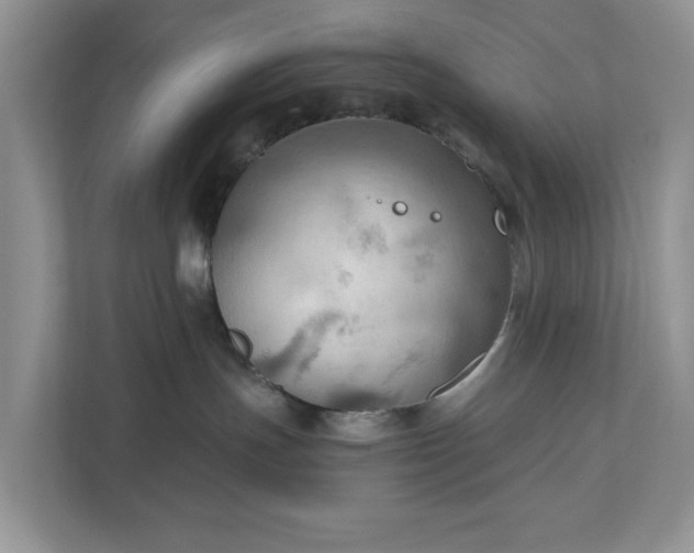 X0000111030191200907021545
