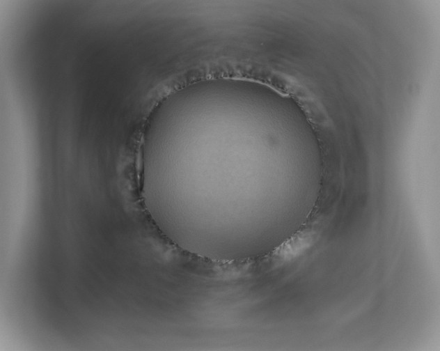 X0000111030192200907021546