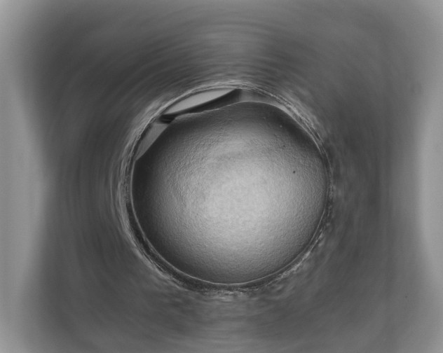 X0000111030193200907021545