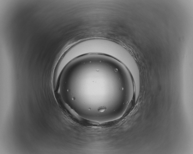 X0000111030195200907021545