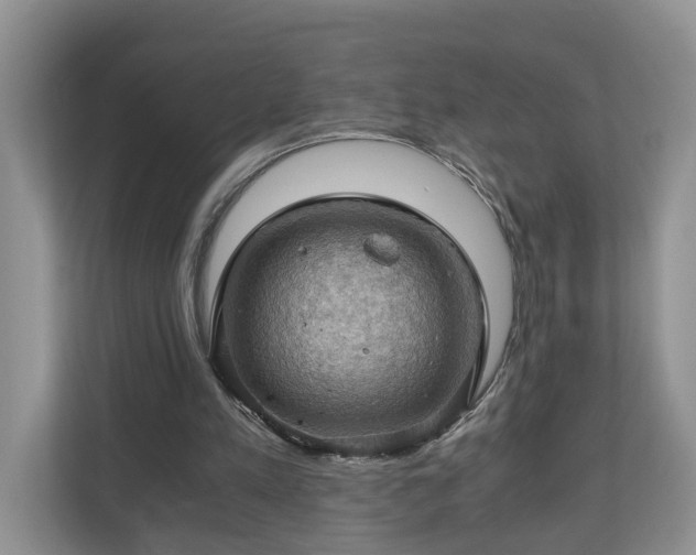 X0000111030197200907021545