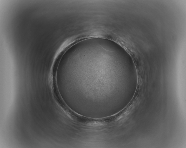 X0000111030198200907021545
