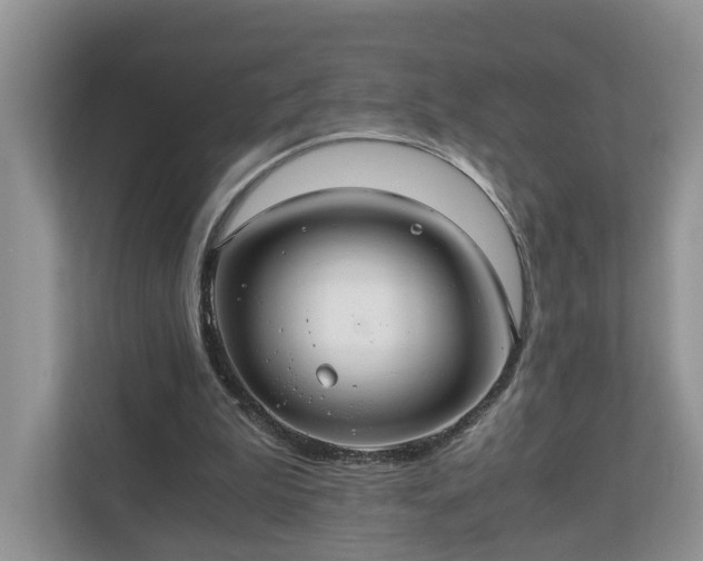 X0000111030199200907021545