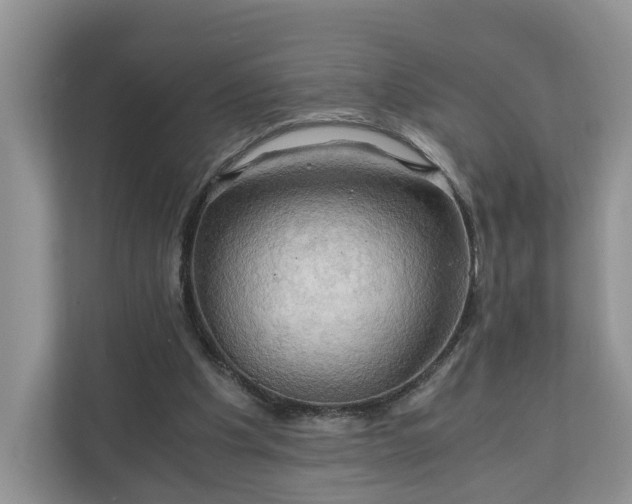 X0000111030201200907021545