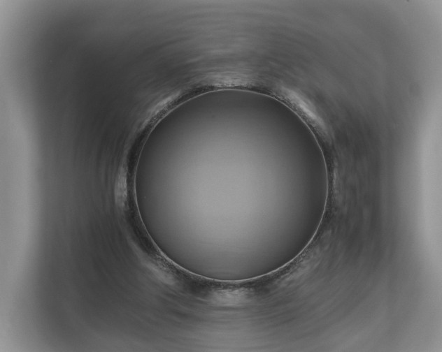 X0000111030202200907021545