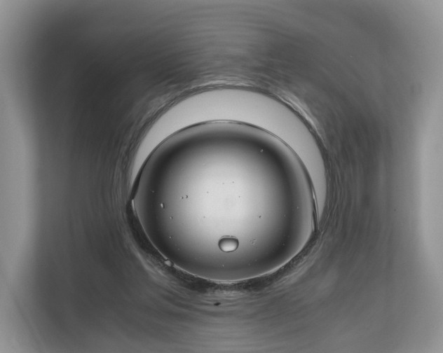 X0000111030205200907021545