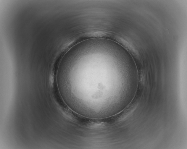 X0000111030206200907021545