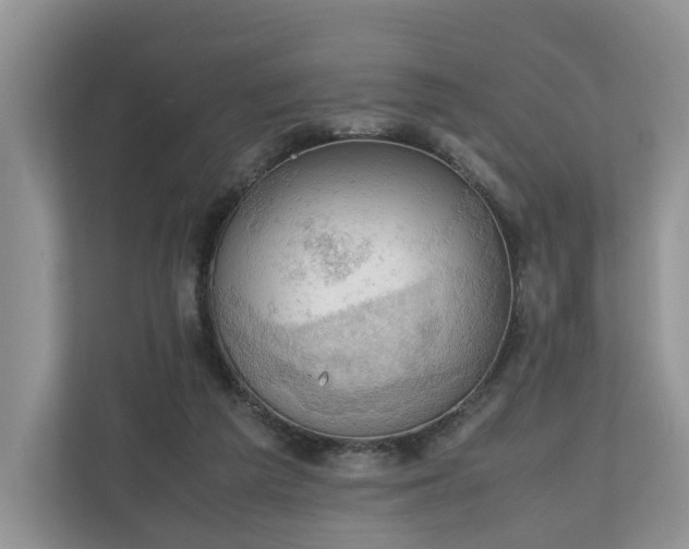 X0000111030209200907021545
