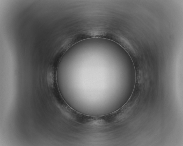 X0000111030210200907021545