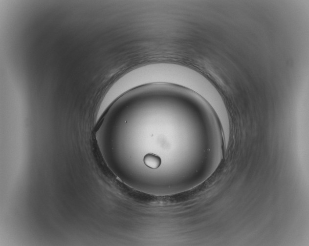 X0000111030211200907021545