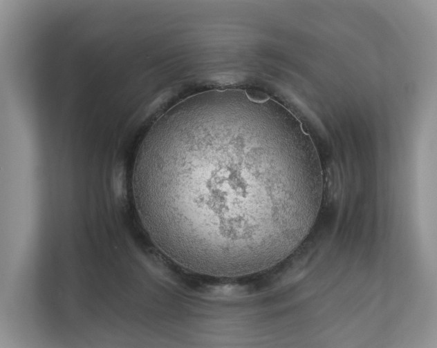 X0000111030212200907021545