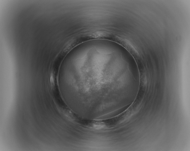 X0000111030214200907021545
