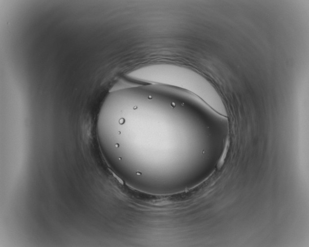 X0000111030219200907021545