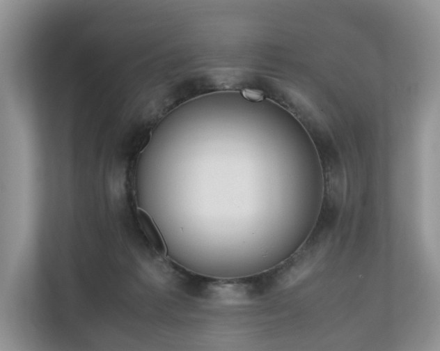 X0000111030221200907021545