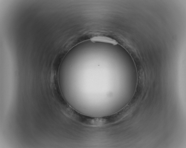 X0000111030225200907021544