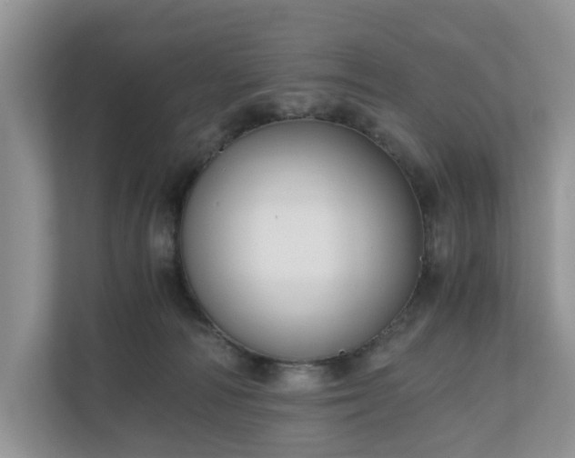 X0000111030226200907021544