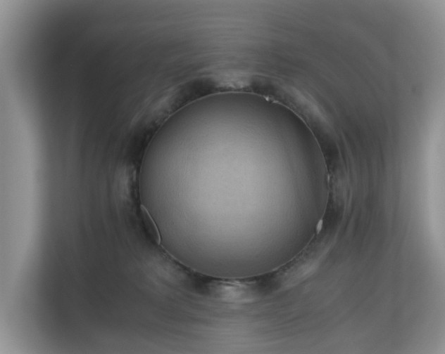 X0000111030229200907021544