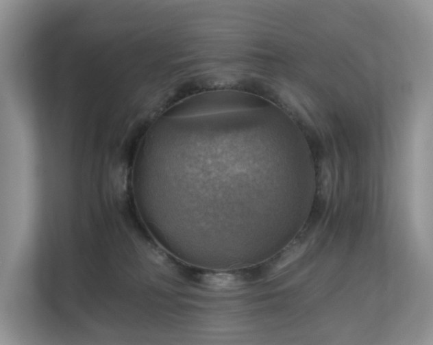 X0000111030230200907021544