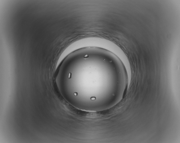 X0000111030231200907021544