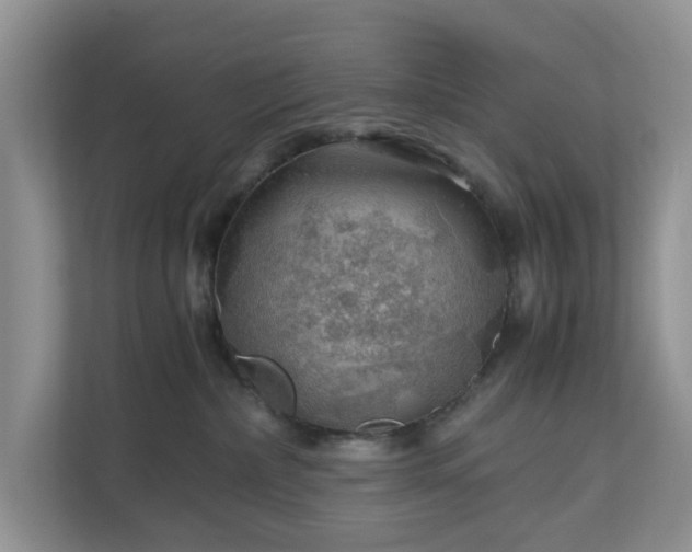 X0000111030236200907021544