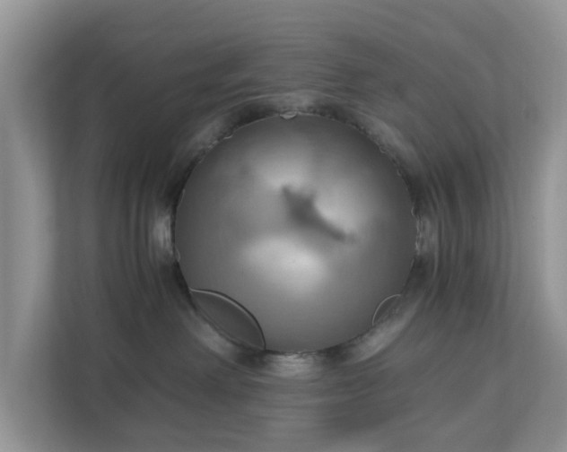X0000111030238200907021544