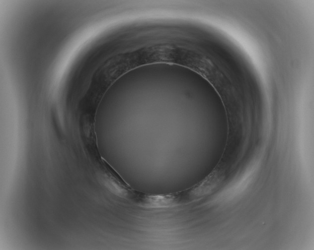 X0000111030239200907021544