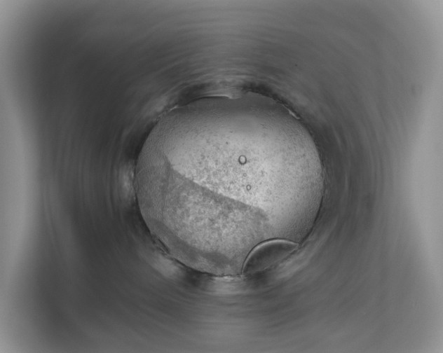 X0000111030240200907021544
