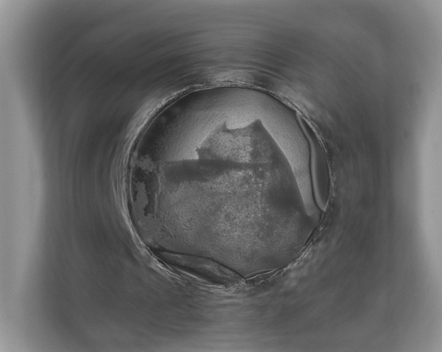X0000111030241200907021544