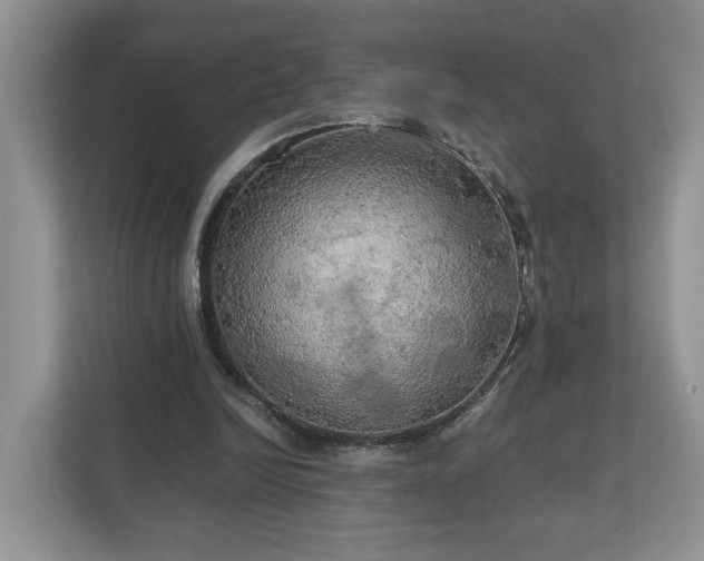 X0000111030246200907021544