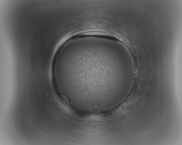 X0000111030248200907021544