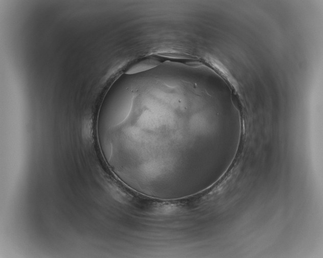 X0000111030249200907021544