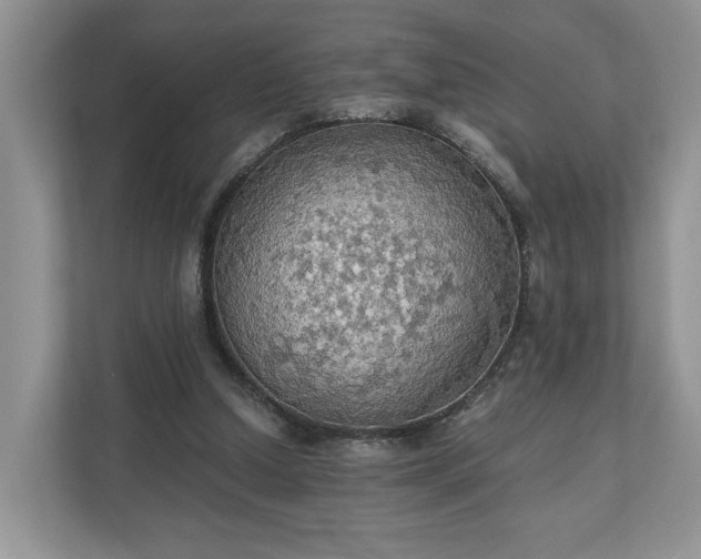 X0000111030250200907021544