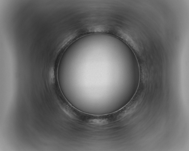 X0000111030251200907021544