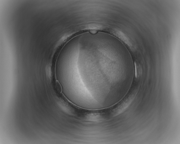 X0000111030252200907021544