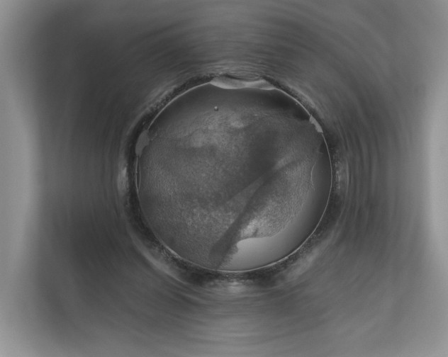 X0000111030254200907021544