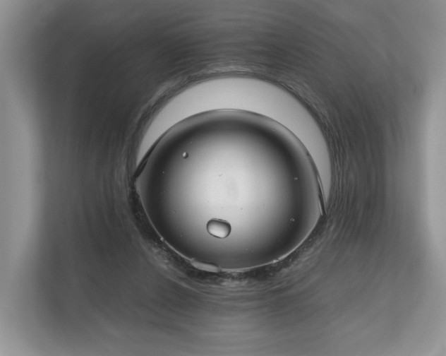 X0000111030256200907021544