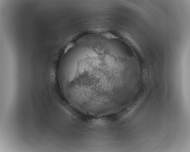 X0000111030259200907021544