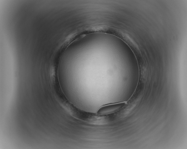 X0000111030260200907021544