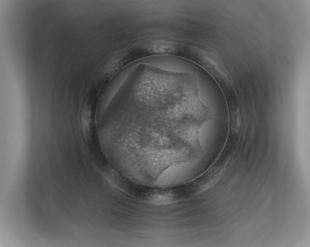 X0000111030263200907021544