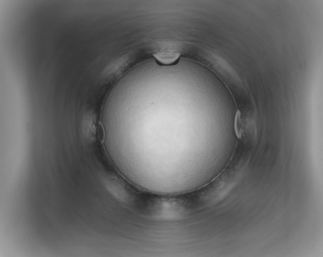 X0000111030264200907021544