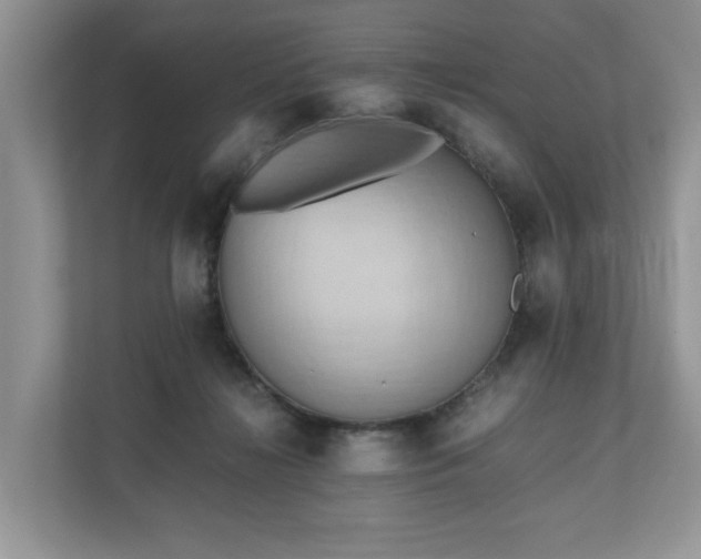 X0000111030268200907021544