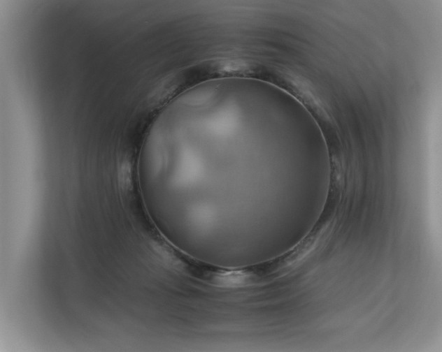 X0000111030269200907021544