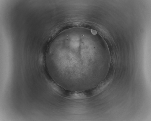 X0000111030270200907021544