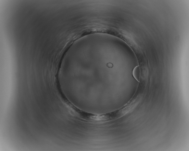 X0000111030273200907021544