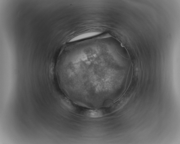 X0000111030275200907021544