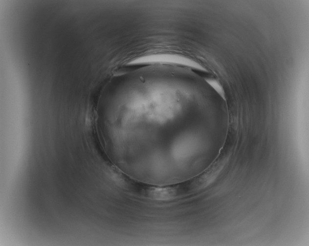 X0000111030277200907021544
