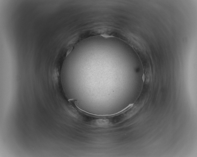 X0000111030279200907021544