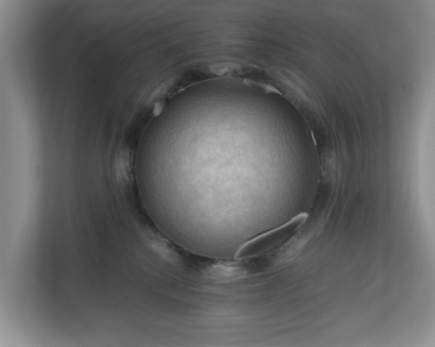 X0000111030280200907021544